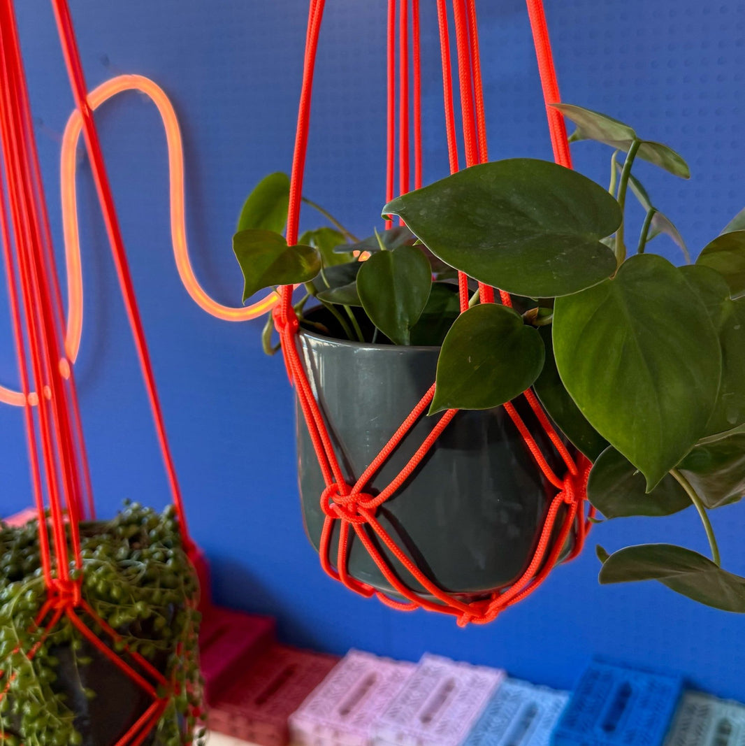 Paracord macrame plant hanger knot detail