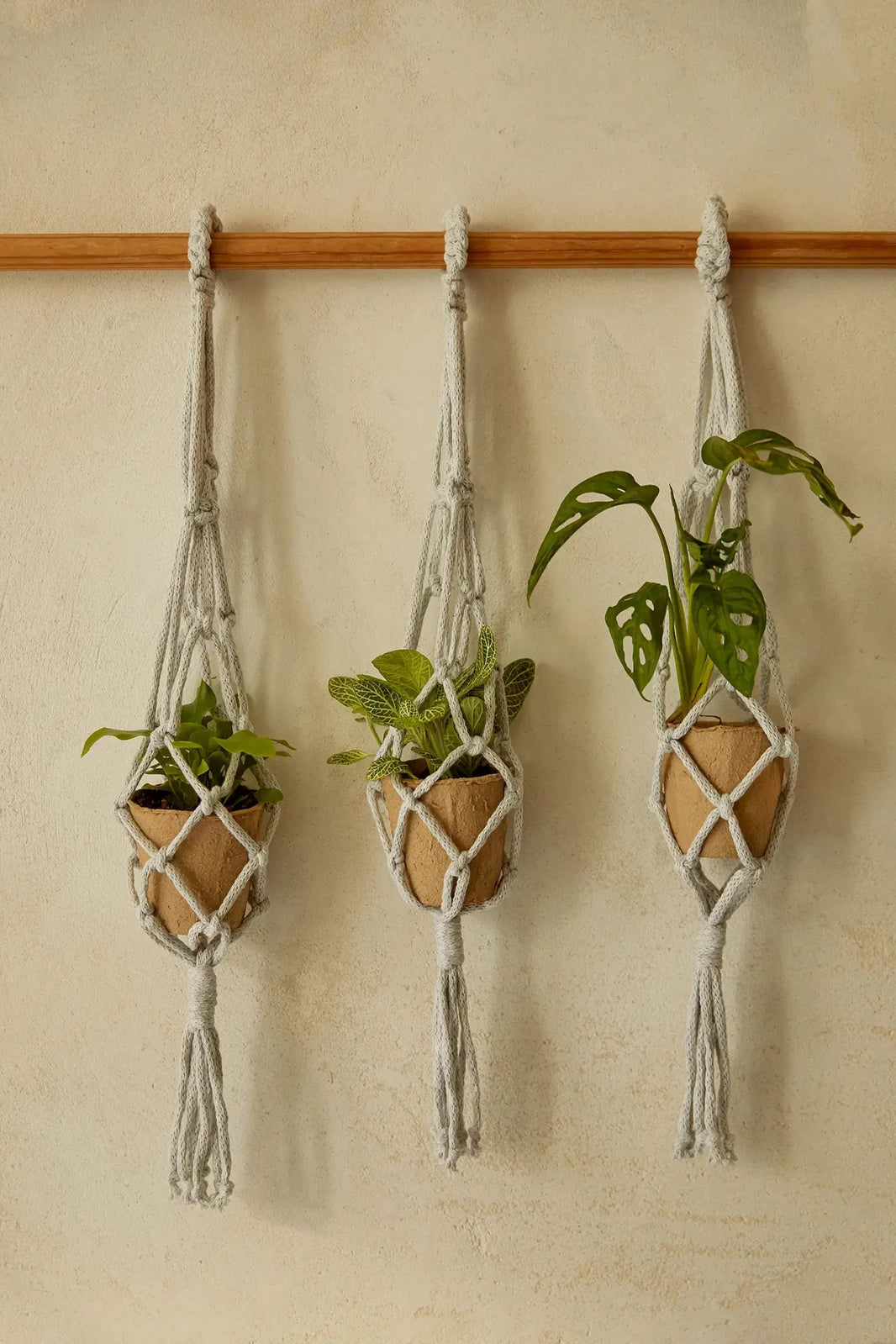 Macramé plant hanger kit, three hangers by DMC