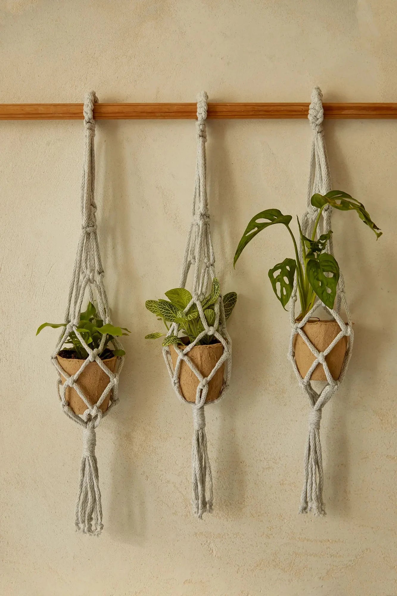 Macramé plant hanger kit, three hangers by DMC