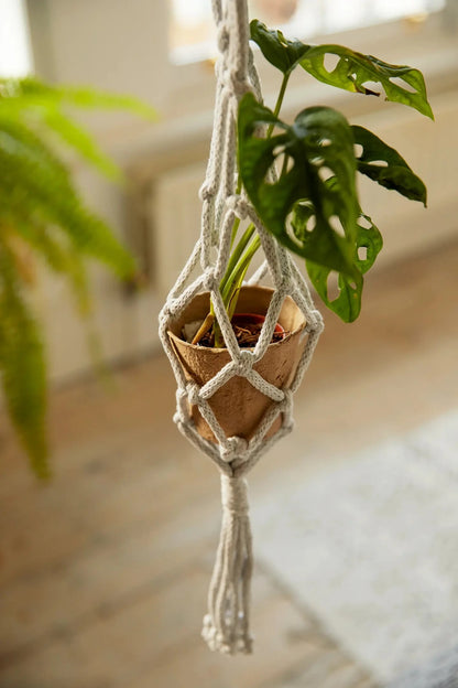 Macramé plant hanger kit, three hangers by DMC