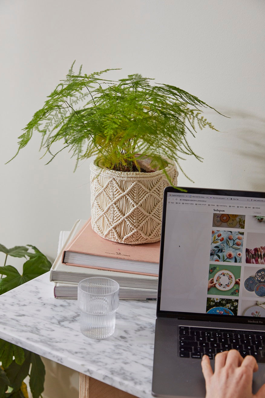 Boho macramé plant pot cover, finished and styled