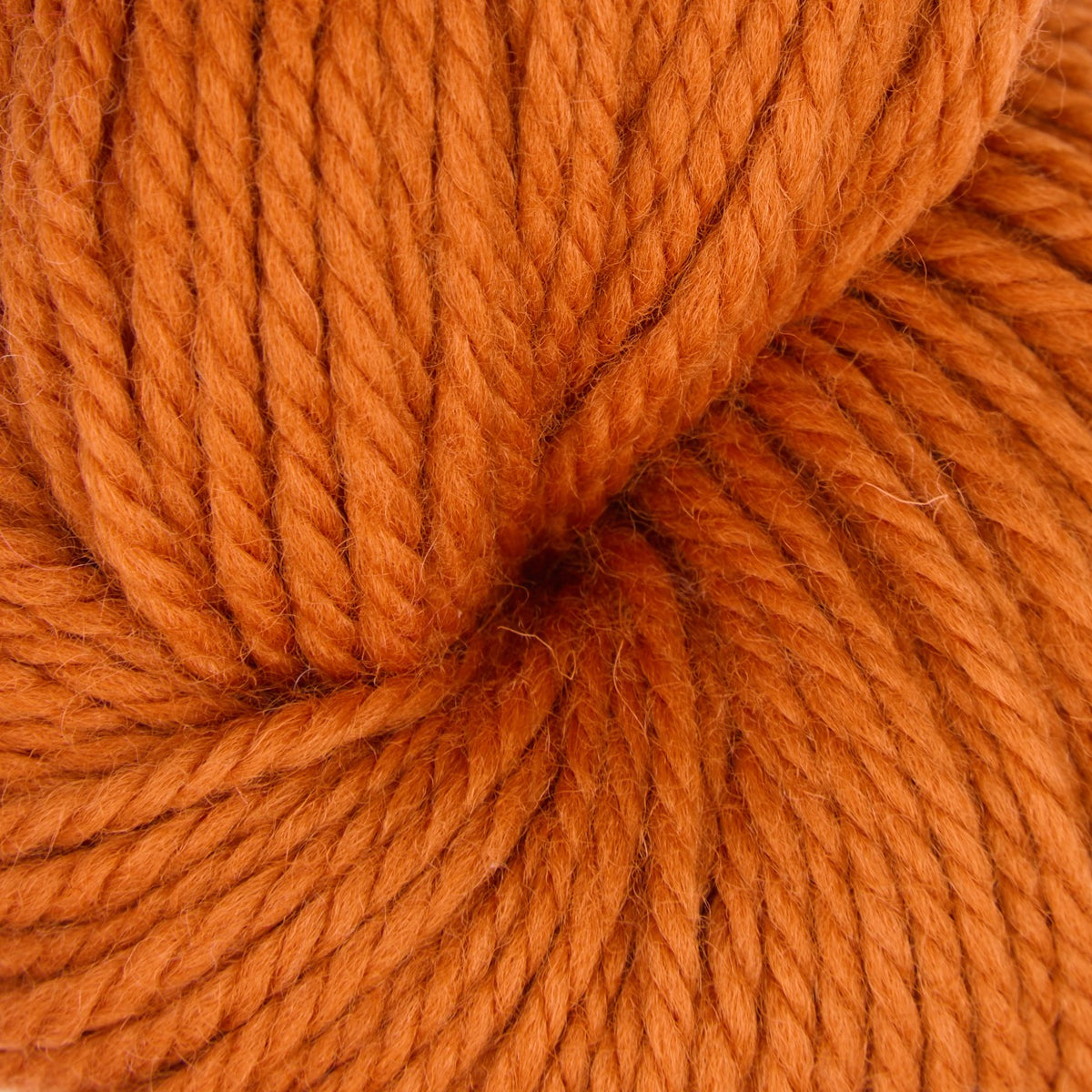 Violet Jane Fine Punch-Needle-Garn, 110g-Strang in Autumn Spice