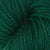 Spinach Leaf