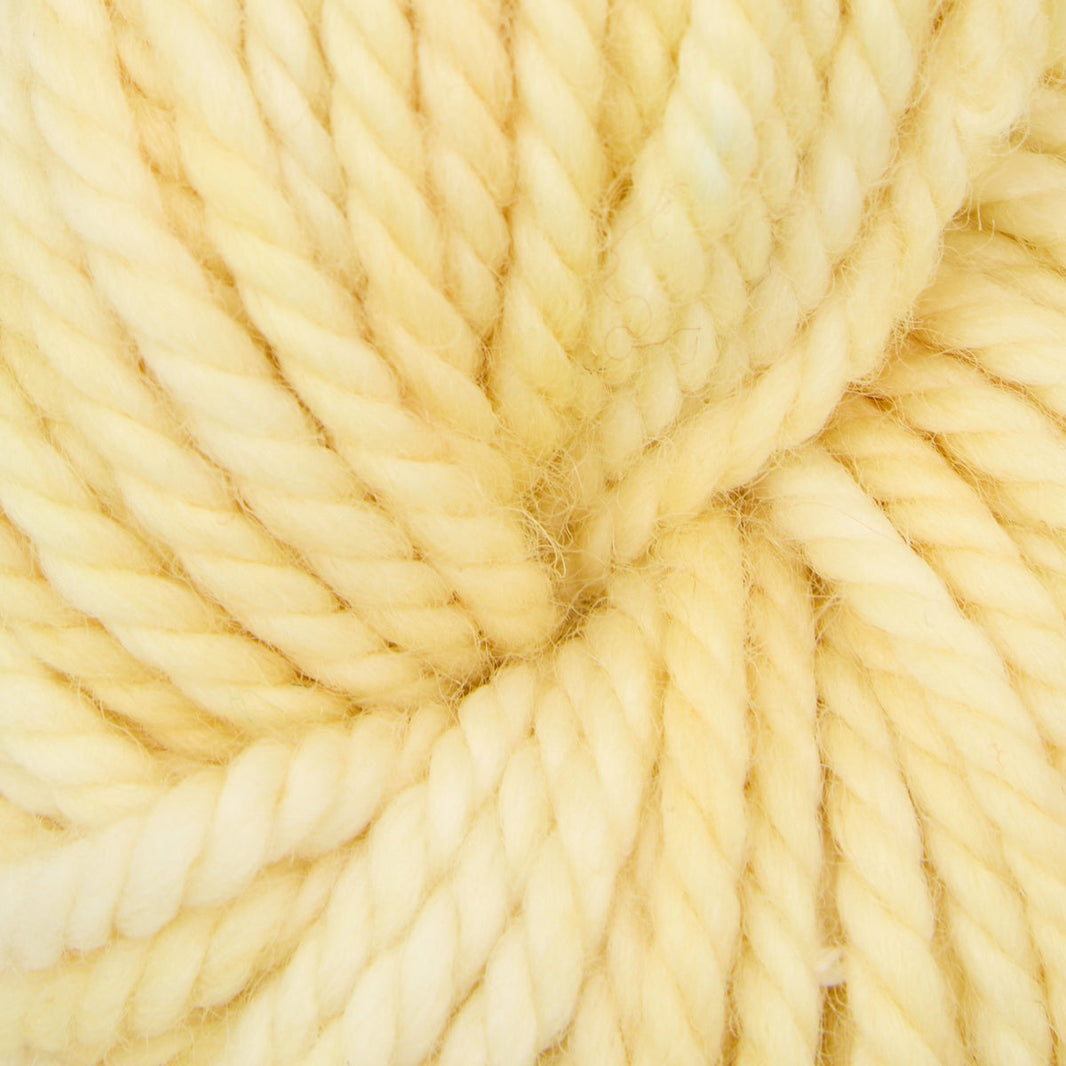 Variegated punch needle rug yarn skein in Buttered Popcorn, 110g