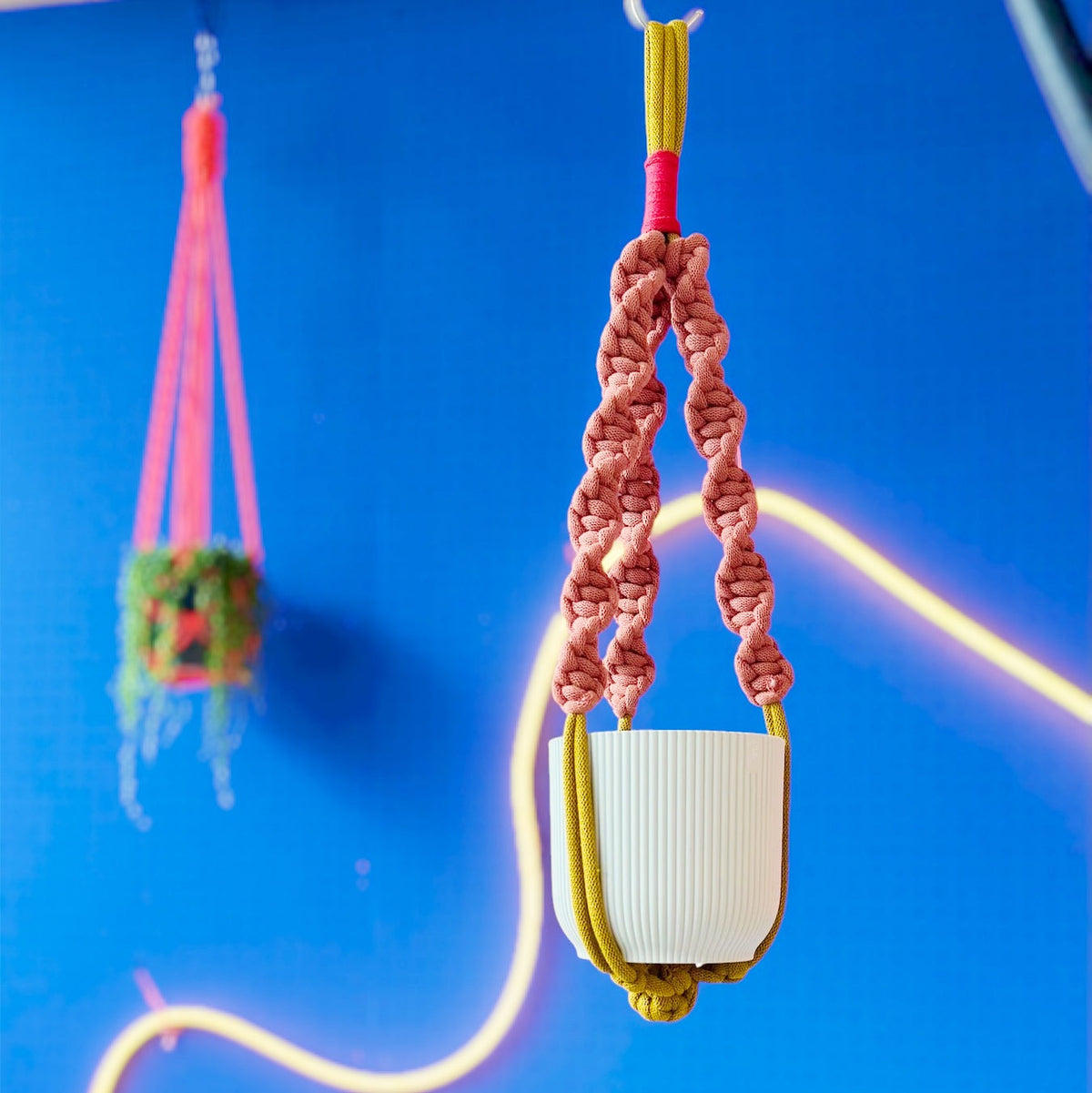 Colourbomb macrame plant hanger colour layout