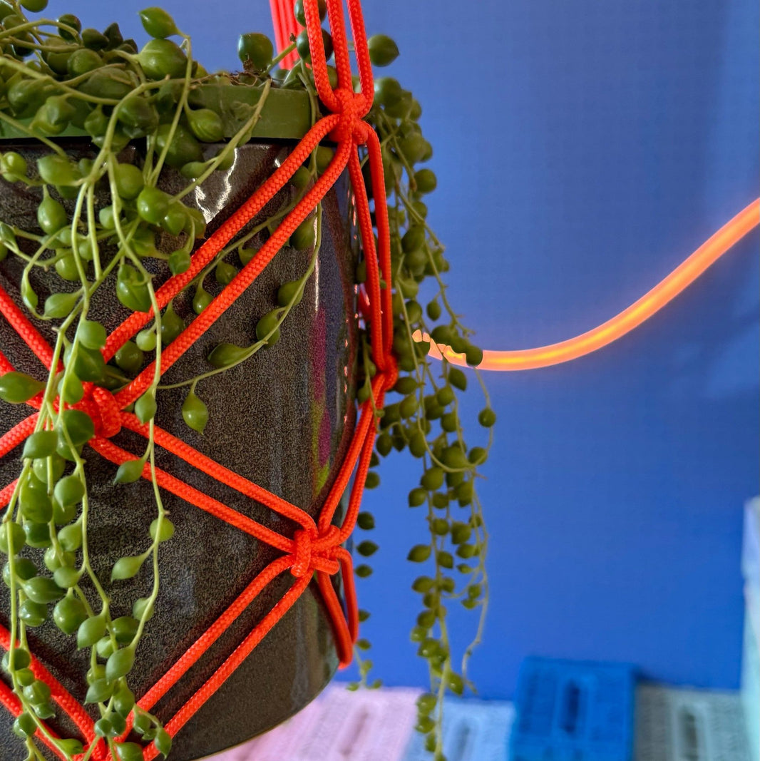 Banger paracord plant hanger detail shot