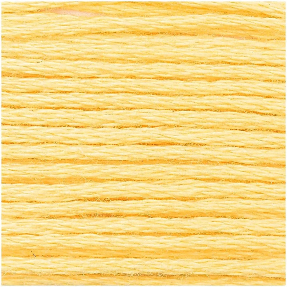 Rico stranded cotton floss skein in a bright shade