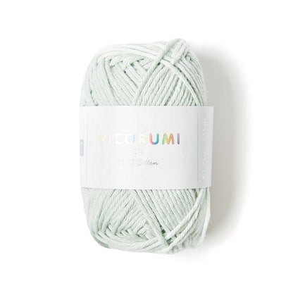 Ricorumi DK Baumwollgarn-Knäuel, 25g-Farbvariante